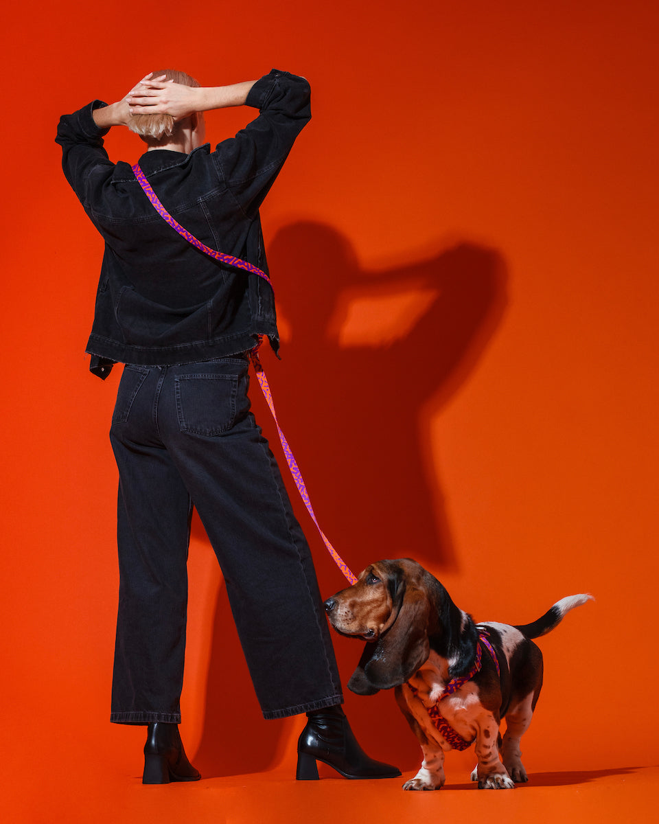 Hot-Doggies-Purple-Orange-Adjustable-Hands-Free-Leash-Worn-Crossbody-150-240cm-for-Easy-Dog-Walks