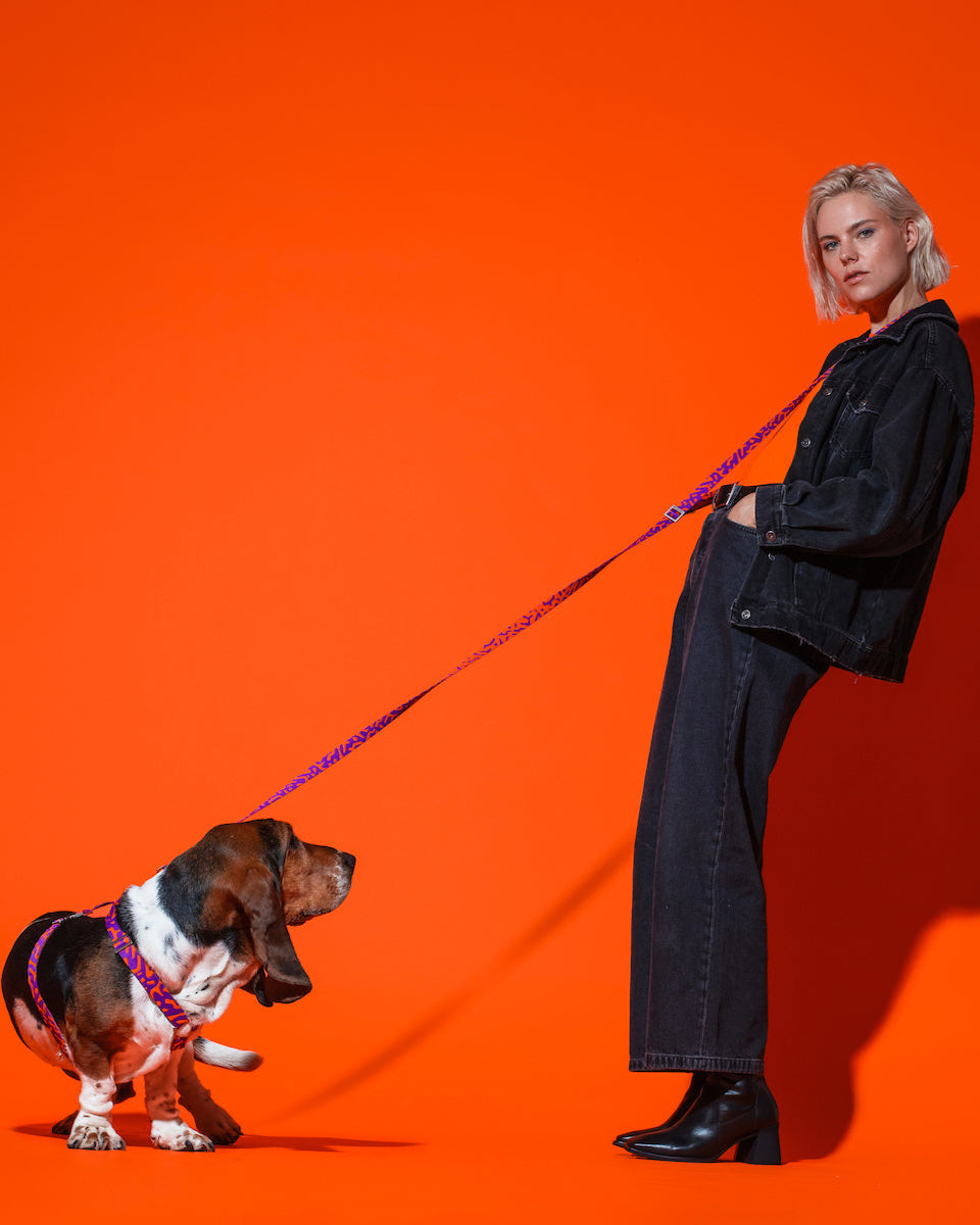 Hot-Doggies-Purple-Orange-Adjustable-Hands-Free-Leash-Worn-By-Model-While-Walking-Dog-Eco-Friendly