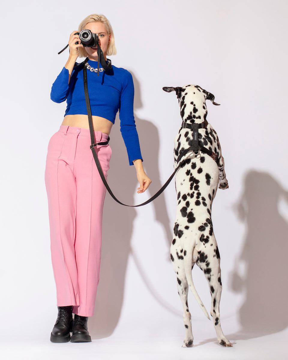 sustainable-hands-free-dog-leash-150-240cm-black-logo-woven-material-stylish.