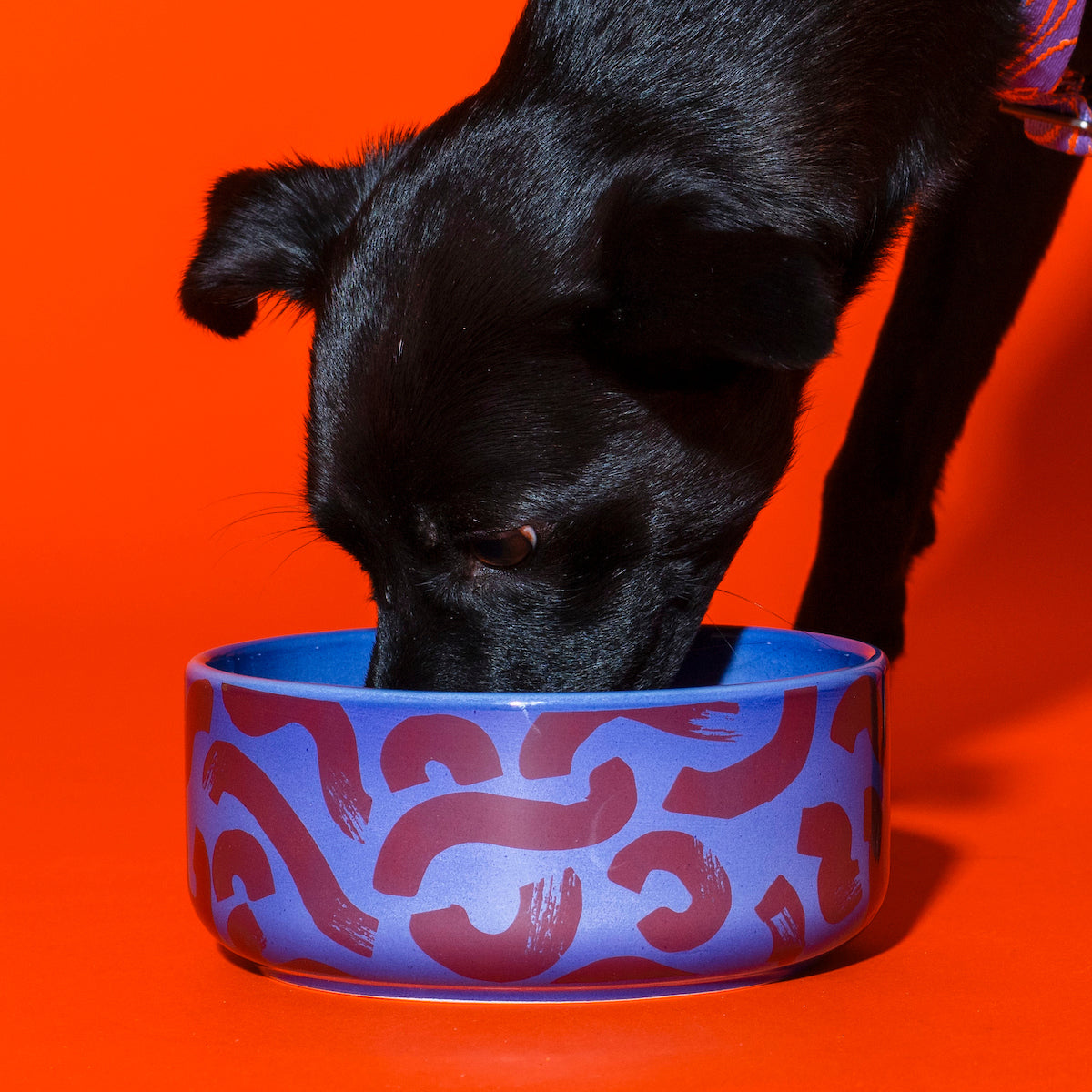 Ceramic dog bowl by Hot Doggies with red and blue pattern, dishwasher safe, perfect for small and medium dogs.