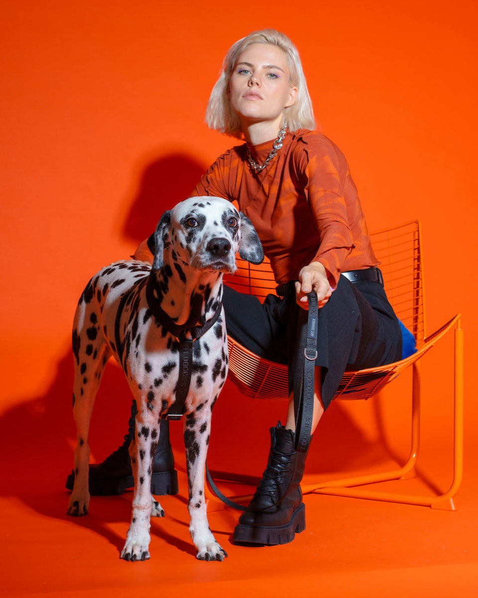 hot-doggies-classic-leash-blak-logo-woven-recycled-with-model-and-dog