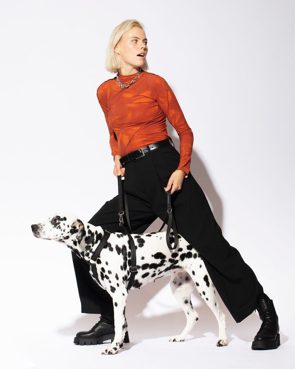 hot-doggies-classic-leash-black-logo-woven-recycled-model-walking-the-dalamatian-dog