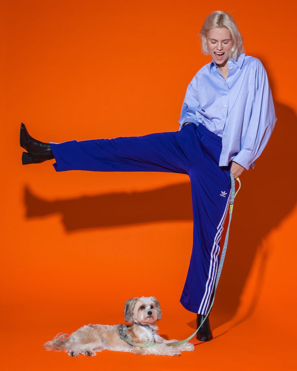 Hot Doggies Classic Leash in Blue/Lime Geometric Lines, shown with a playful model and dog, highlighting its bold design and comfortable padded handle.