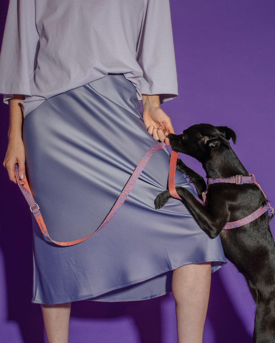 Close-up of the Hot Doggies Classic Leash Lily Coral on a dog, highlighting the soft, eco-friendly material and stylish coral and lilac fine-line pattern. Durable and comfortable leash for daily walks.