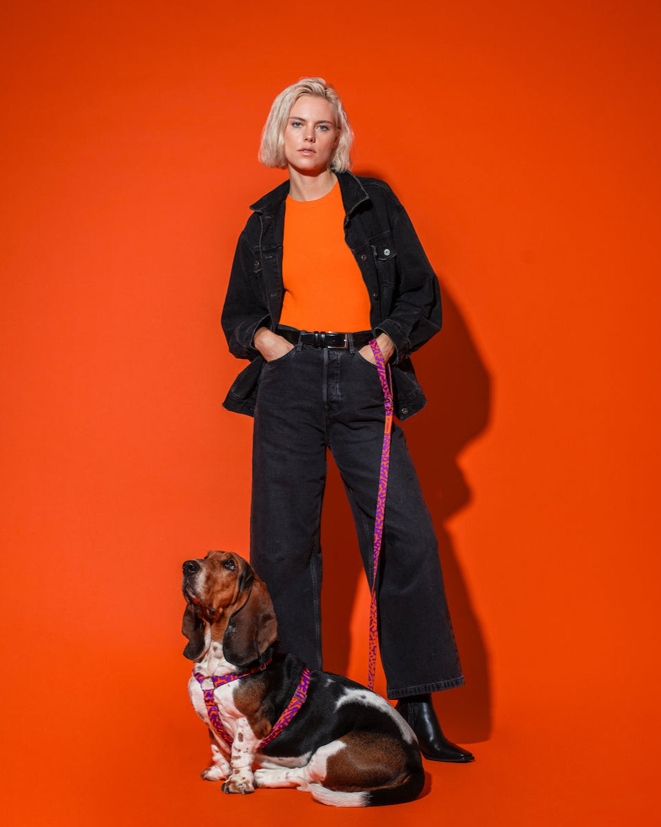 Dog owner walking with Hot Doggies Classic leash in purple and orange, stylish and eco-friendly 150cm leash with padded handle, perfect for everyday walks