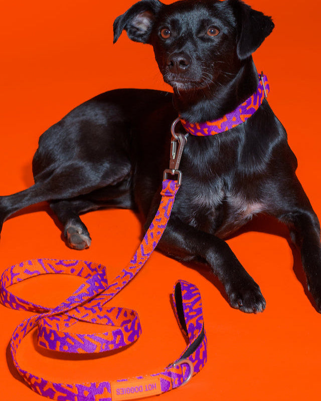 Hot Doggies Classic leash in purple and orange, eco-friendly soft woven polyester, 150cm with padded handle, designed for style and durability, made in the EU.