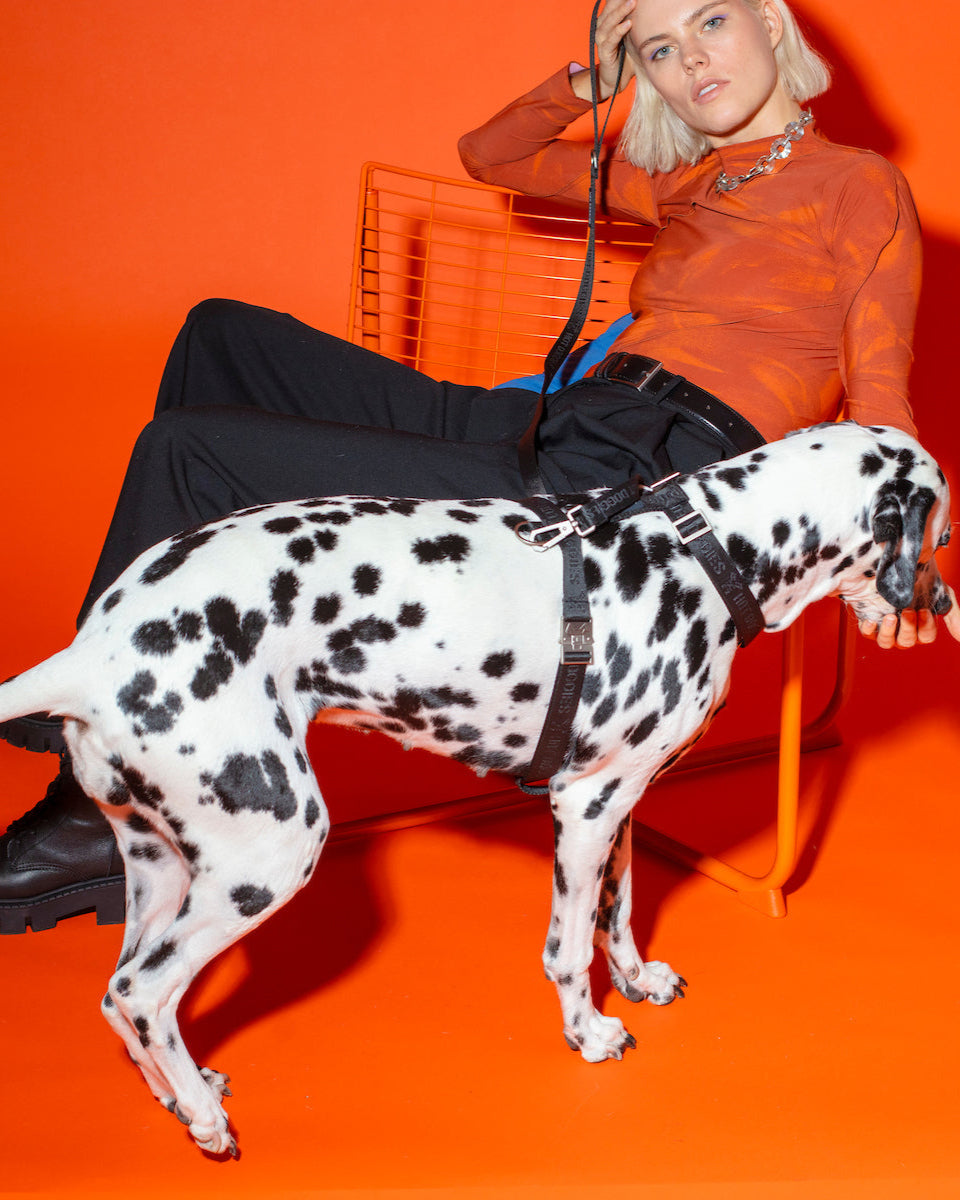 woven-black-logo-pattern-recycled-polyester-showing-side-of-harness-on-dog-and-model-sitting