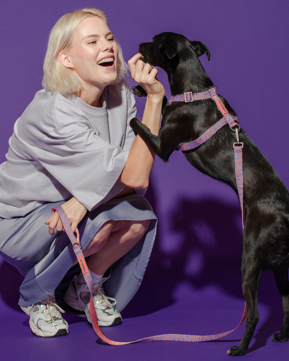 Female model giving a treat to her dog, both wearing the Lily Coral Doodle Pattern Harness, showcasing comfort and style.