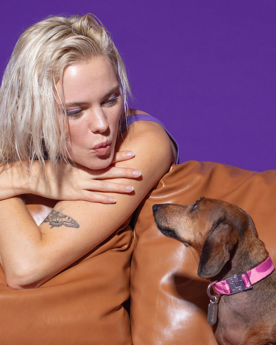Dog wearing the Roxy Pink Collar on a sofa, accompanied by a model, featuring a vibrant pink wave design and durable buckle for a stylish and comfortable fit.