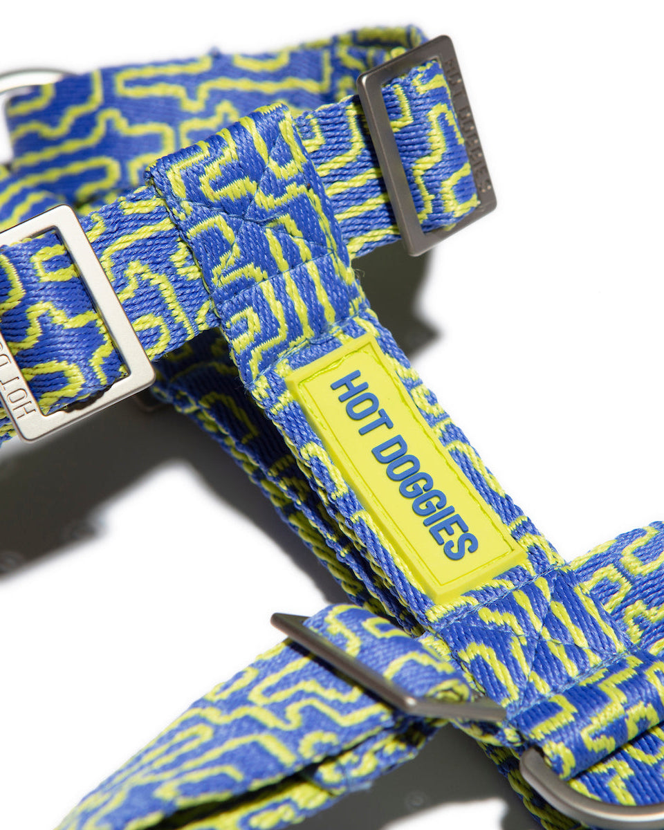 Flat-lay of the Hot Doggies bobby blue Harness in blue and lime, showing off the sleek design and modern pattern.