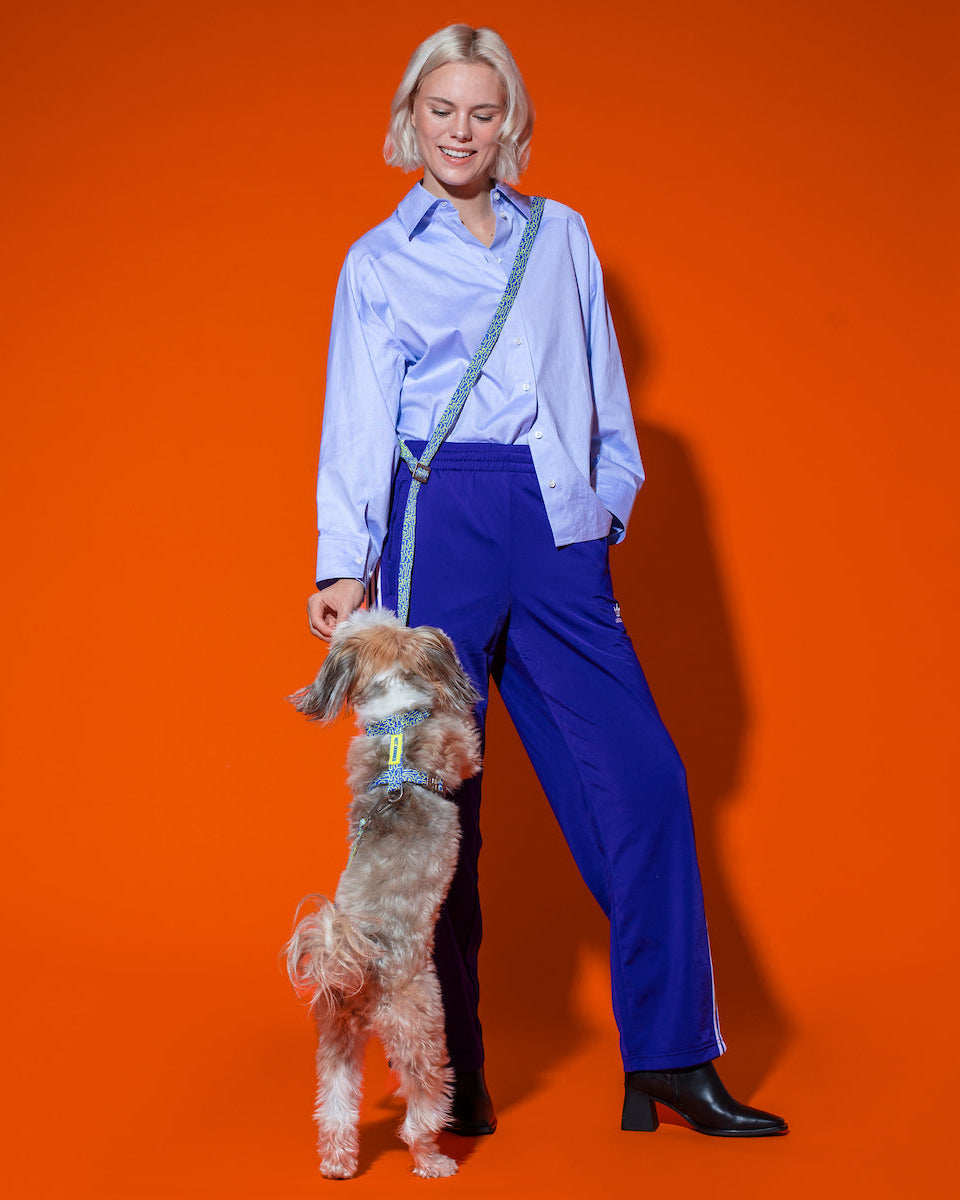 Back view of the Hot Doggies bobby blue Harness in blue and lime, highlighting the durable zinc alloy buckle and geometric design.