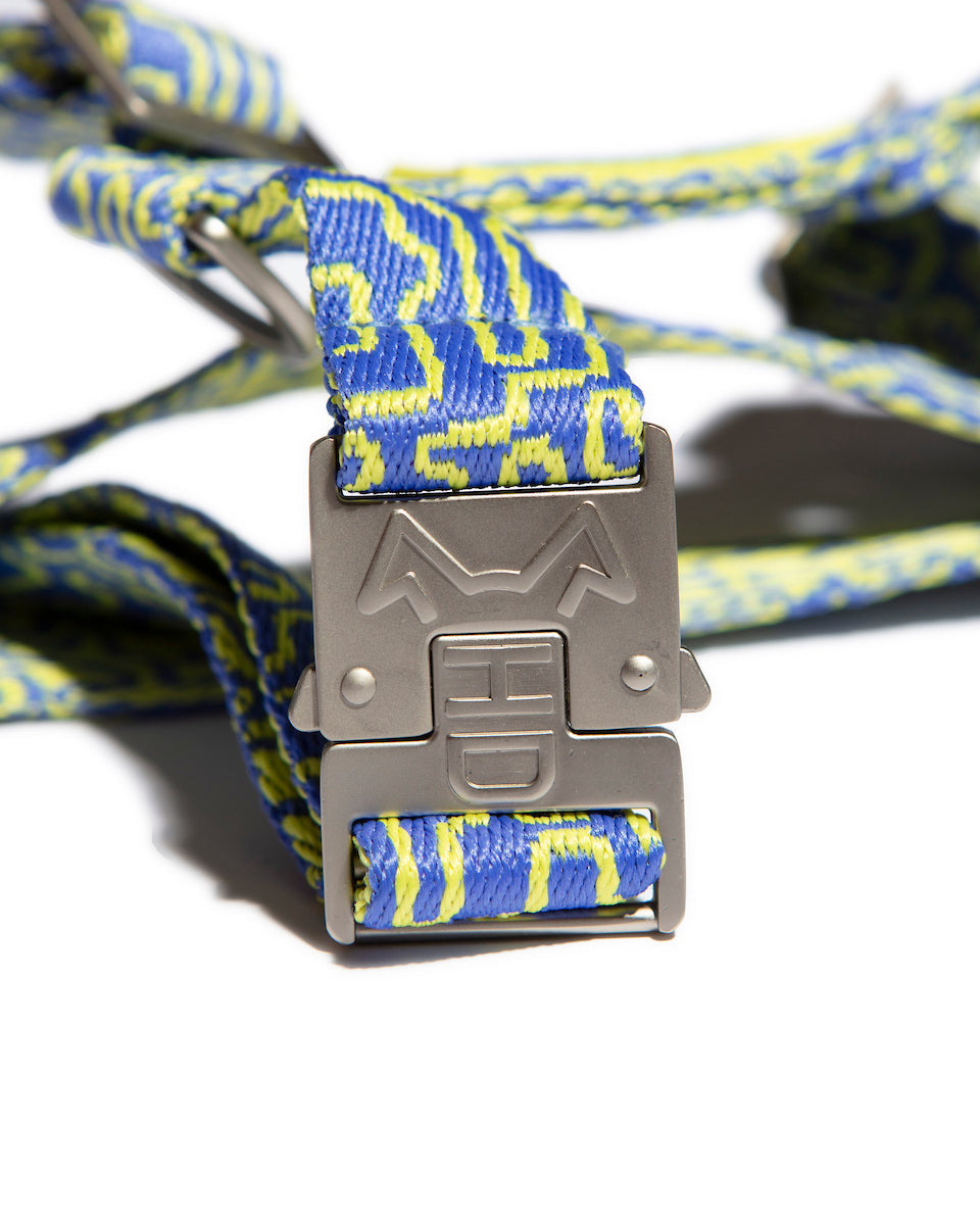 the Hot Doggies bobby blue Harness in blue and lime, showing off the sleek detail hardwear
