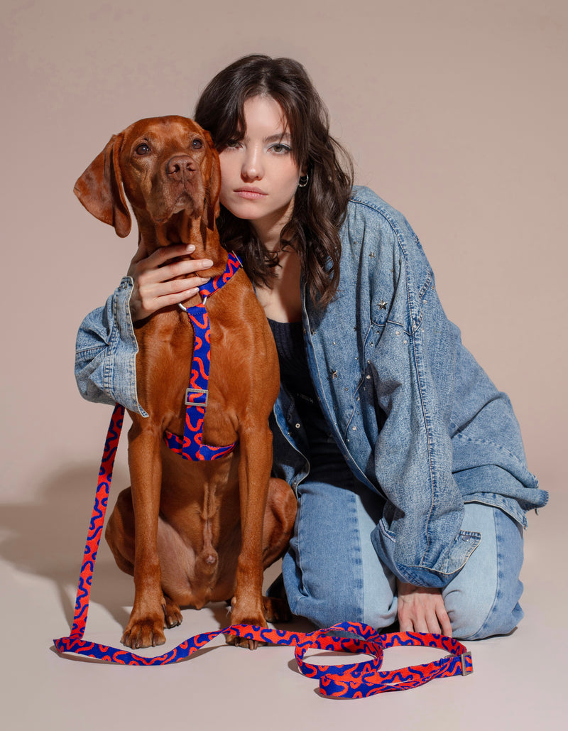 Mobile hero background featuring Hot Doggies brand