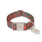 HOT DOGGIES X WILDES LAND COLLAR