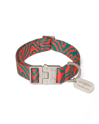 HOT DOGGIES X WILDES LAND COLLAR