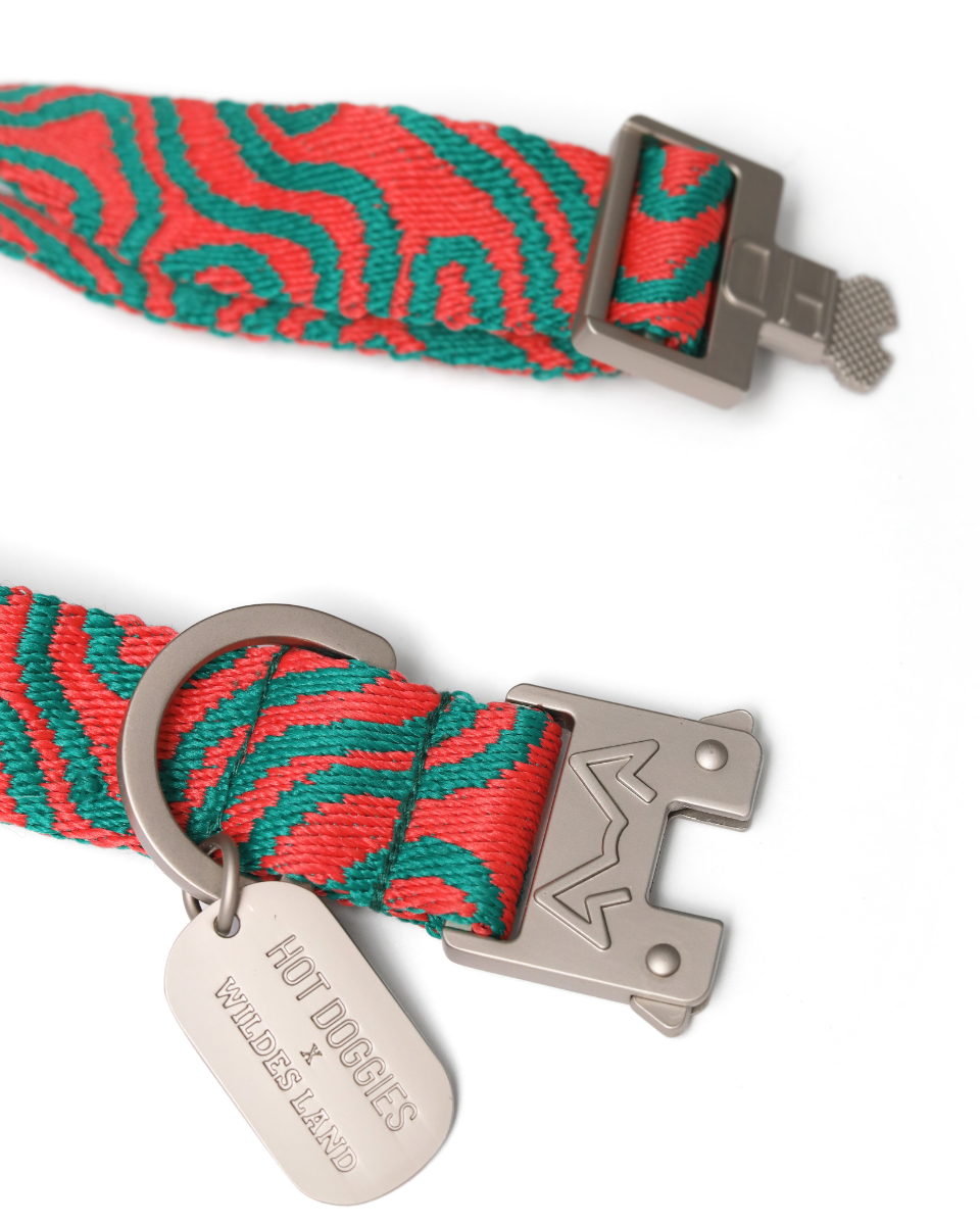 HOT DOGGIES X WILDES LAND COLLAR