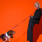 Hot-Doggies-Purple-Orange-Adjustable-Hands-Free-Leash-Worn-By-Model-While-Walking-Dog-Eco-Friendly