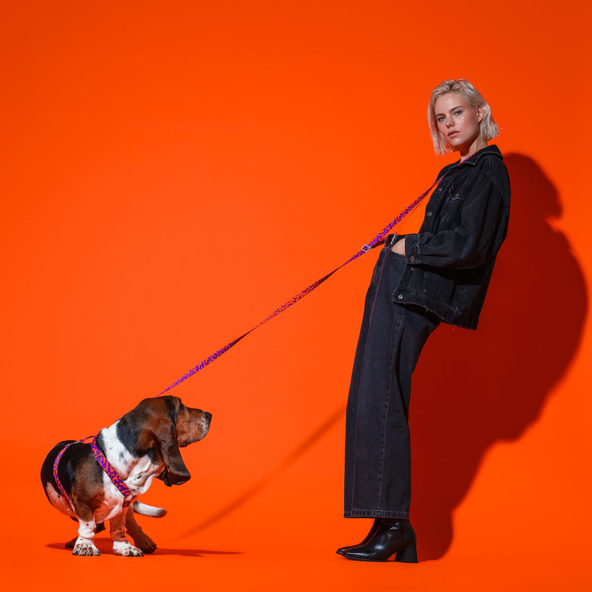 Hot-Doggies-Purple-Orange-Adjustable-Hands-Free-Leash-Worn-By-Model-While-Walking-Dog-Eco-Friendly