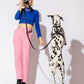 sustainable-hands-free-dog-leash-150-240cm-black-logo-woven-material-stylish.