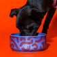 Ceramic dog bowl by Hot Doggies with red and blue pattern, dishwasher safe, perfect for small and medium dogs.