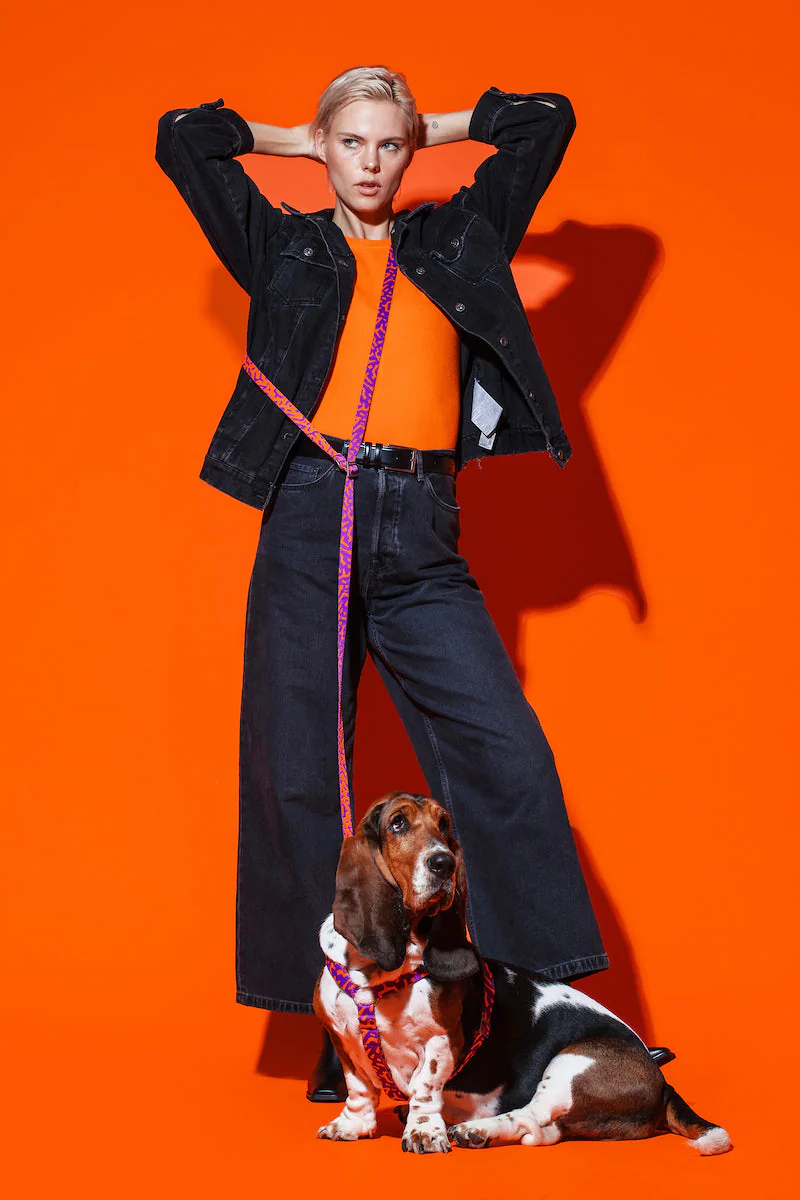 LEASHES