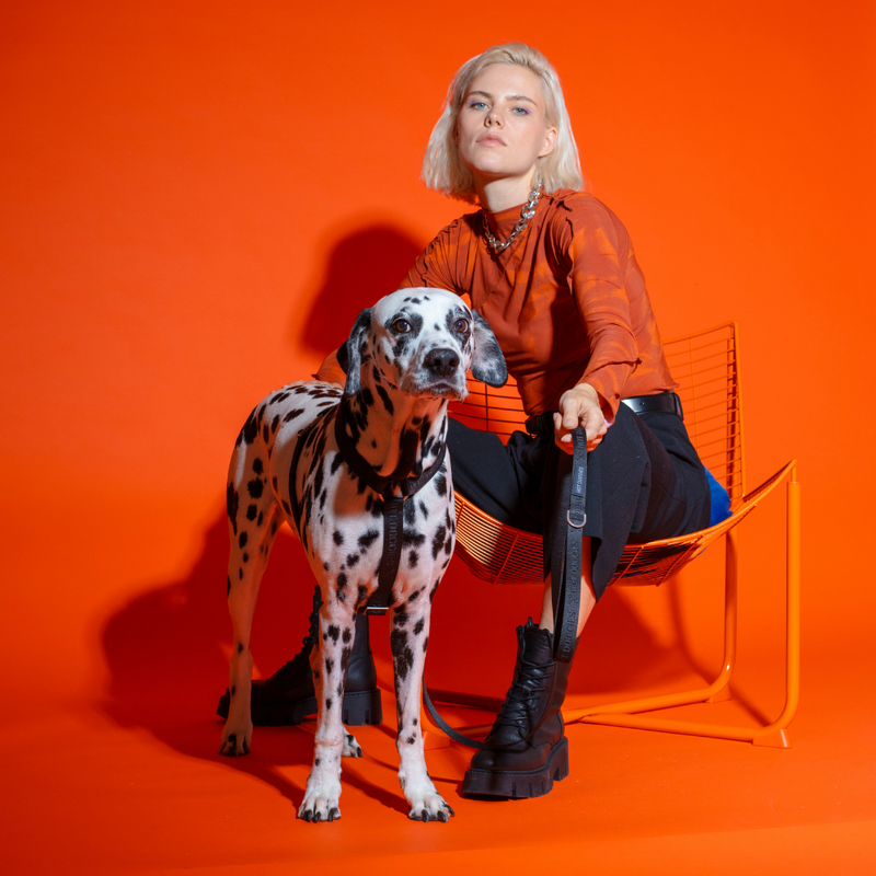 Person with dog