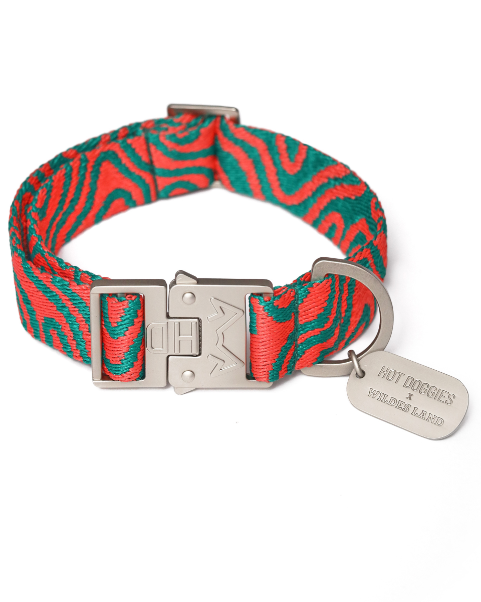 HOT DOGGIES X WILDES LAND COLLAR
