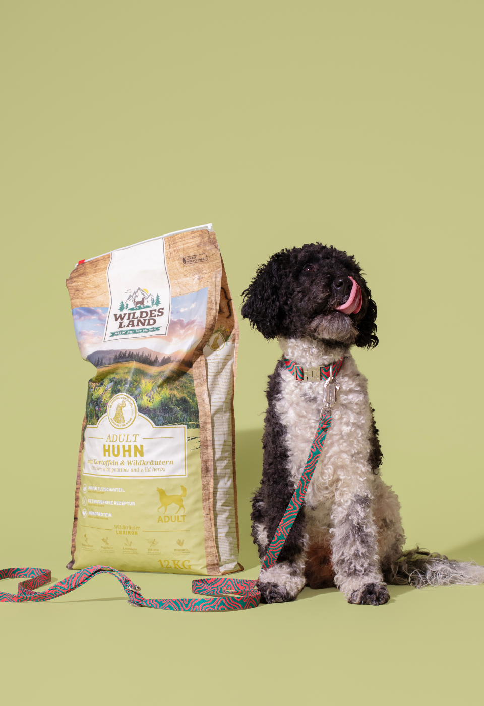 HOT DOGGIES X WILDES LAND HANDS-FREE LEASH