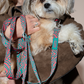 HOT DOGGIES X WILDES LAND HANDS-FREE LEASH