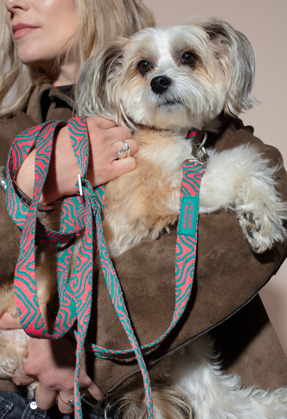 HOT DOGGIES X WILDES LAND HANDS-FREE LEASH