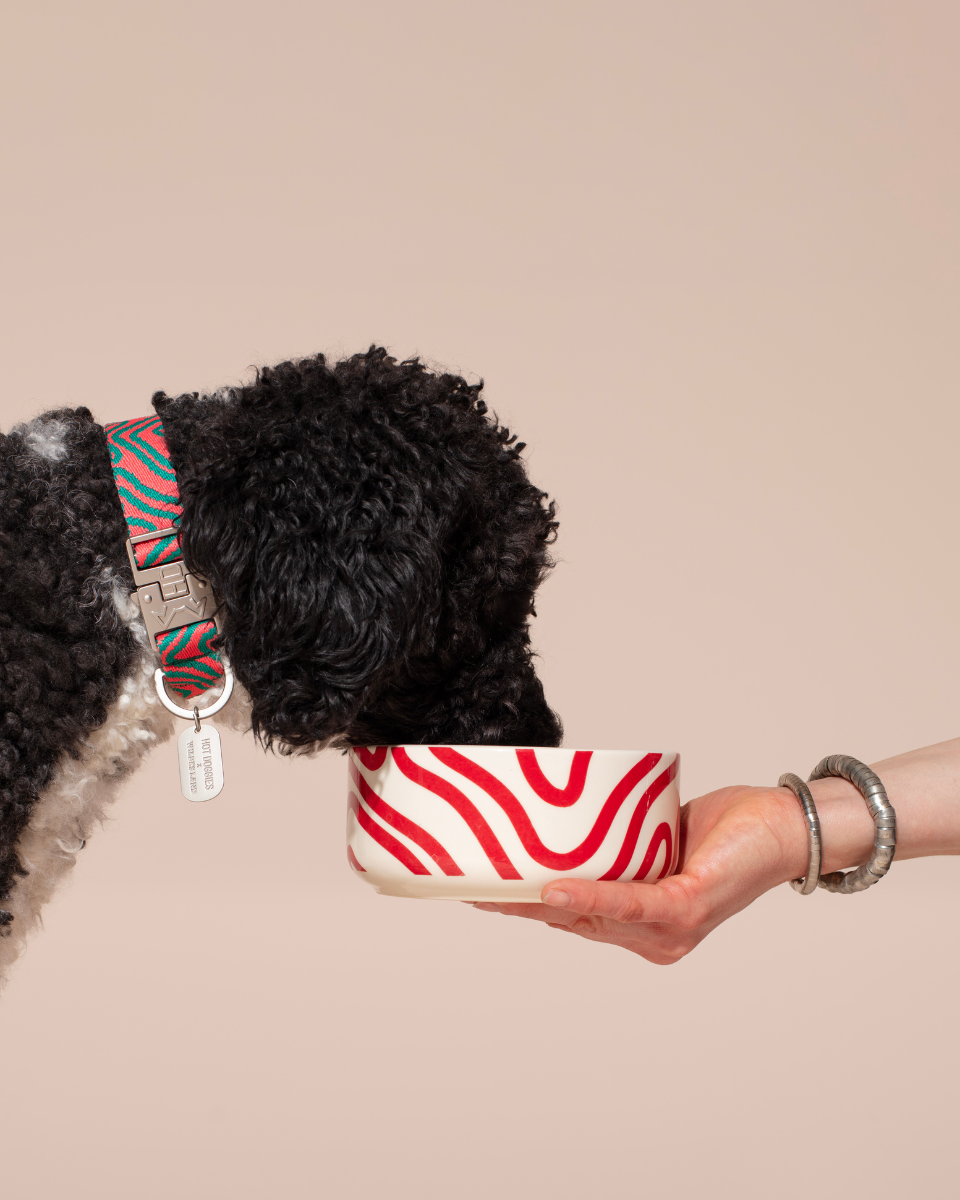 HOT DOGGIES X WILDES LAND CERAMIC BOWL