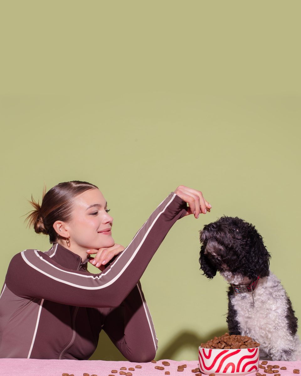 HOT DOGGIES X WILDES LAND CERAMIC BOWL