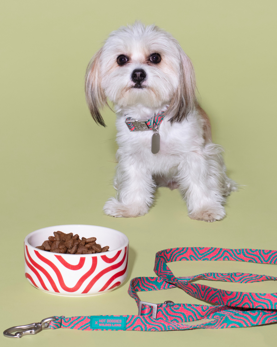 HOT DOGGIES X WILDES LAND CERAMIC BOWL