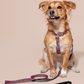 HOT DOGGIES X WILDES LAND CLASSIC LEASH