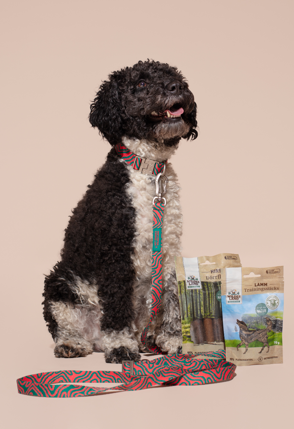 HOT DOGGIES X WILDES LAND CLASSIC LEASH