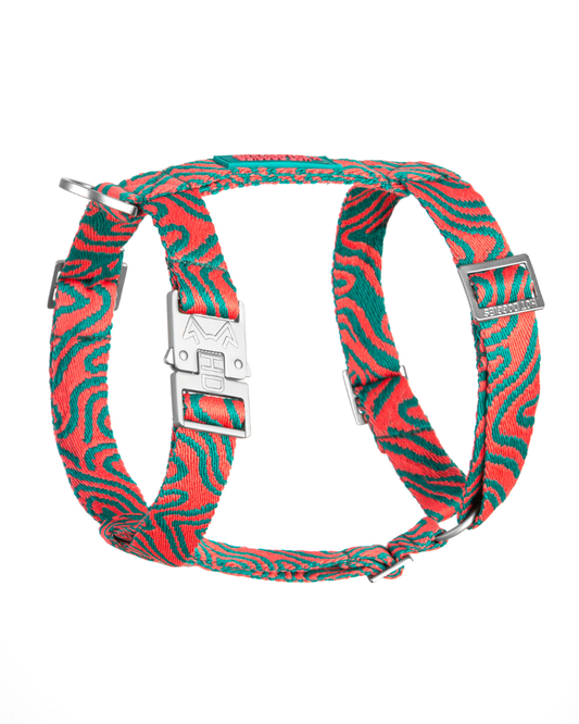 HOT DOGGIES X WILDES LAND HARNESS