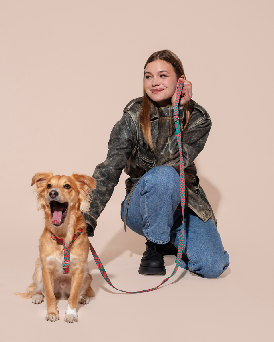 HOT DOGGIES X WILDES LAND HARNESS