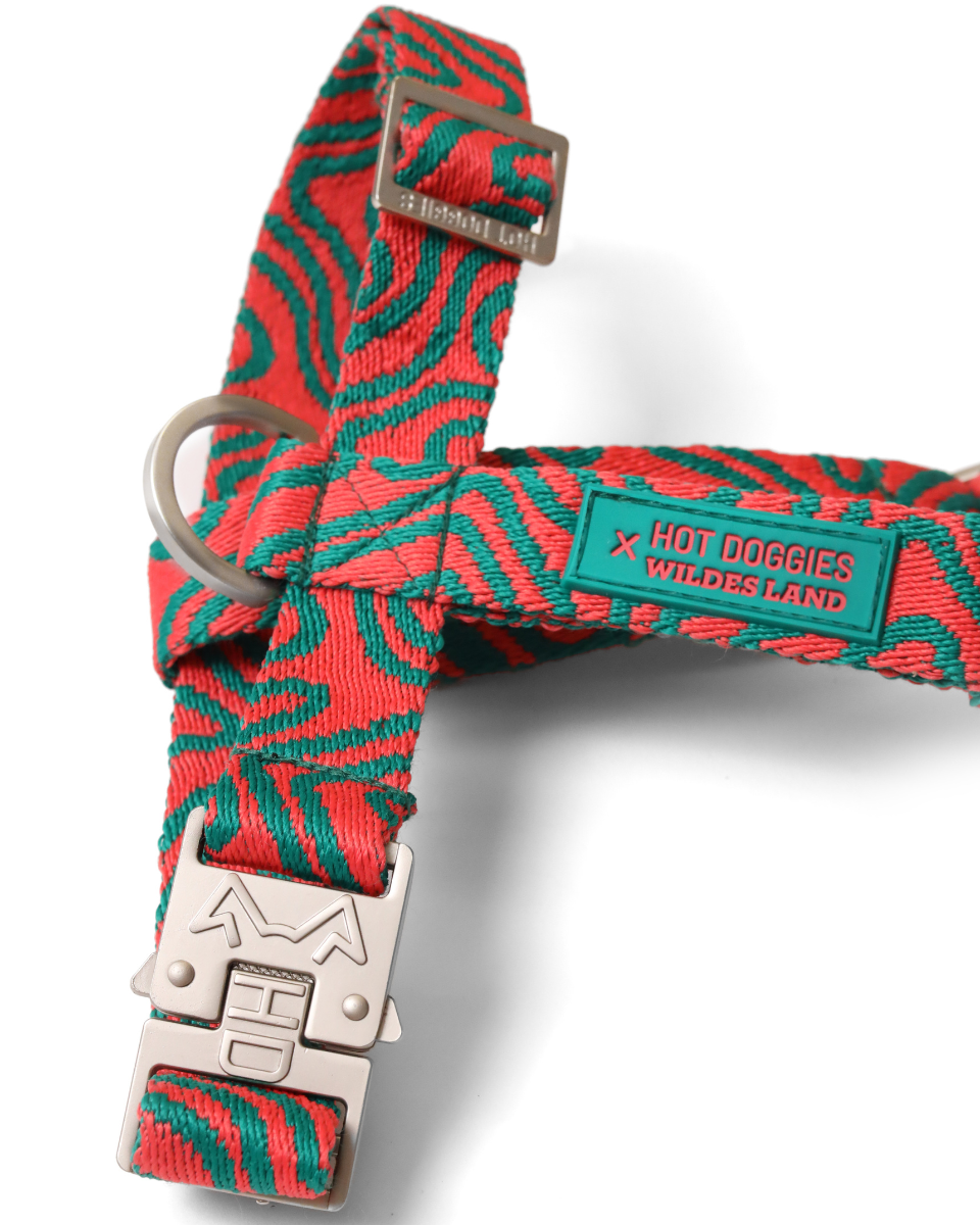 HOT DOGGIES X WILDES LAND HARNESS