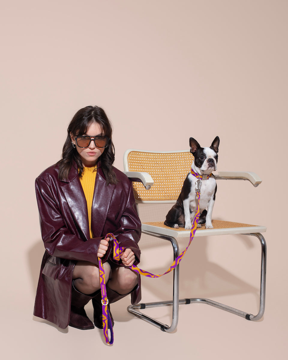 Woman in a leather coat and sunglasses sitting on a chair with a dog on a BONNY PLUM CLASSIC leash against a beige background.