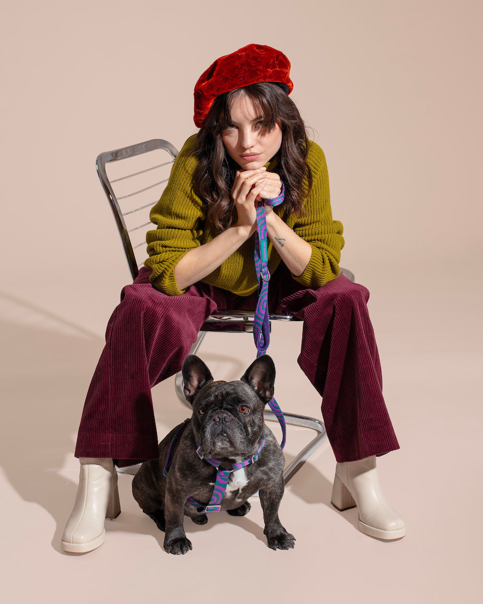 Woman sitting on a chair with a dog on a Lola Groove Classic Leash , wearing a red beret and green sweater.