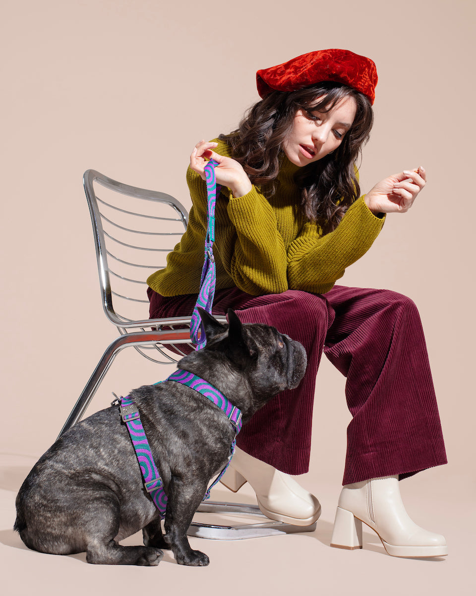 Woman sitting on a chair with a dog wearing a colorful Lola Groove harness, both against a beige background.