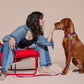 Woman sitting on a red chair with a dog on a beige background.