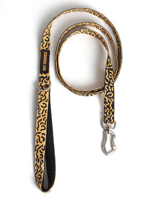 CLASSIC LEASH COCO NOIR