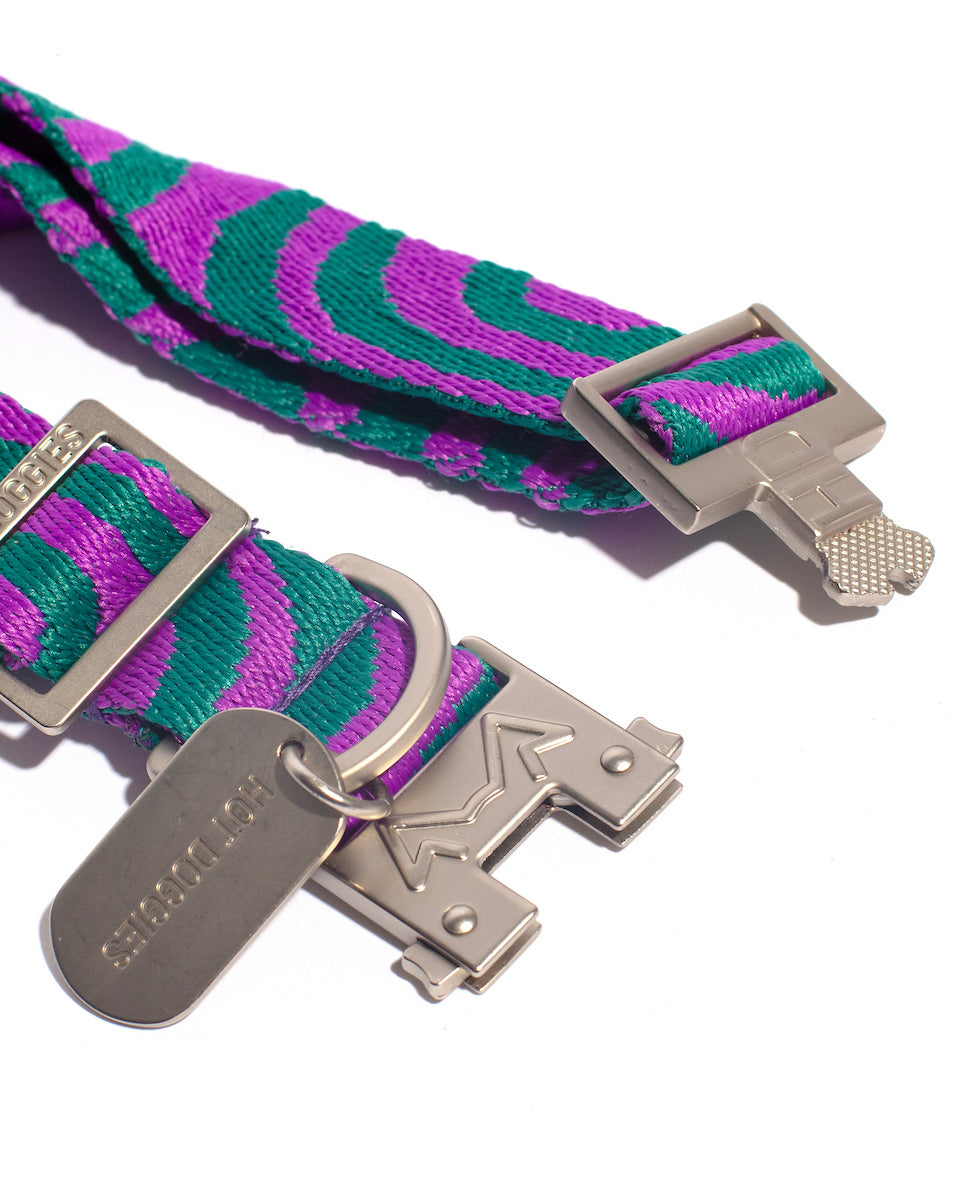 Green and purple striped belt with silver buckles and hardware on a white background.