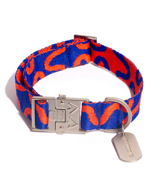 Dog collar with blue and red pattern on a white background