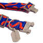 Blue and orange dog collar with metal buckles and tag on a white background