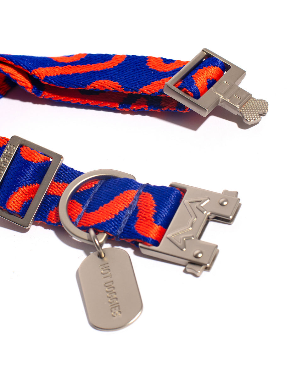 Blue and orange dog collar with metal buckles and tag on a white background