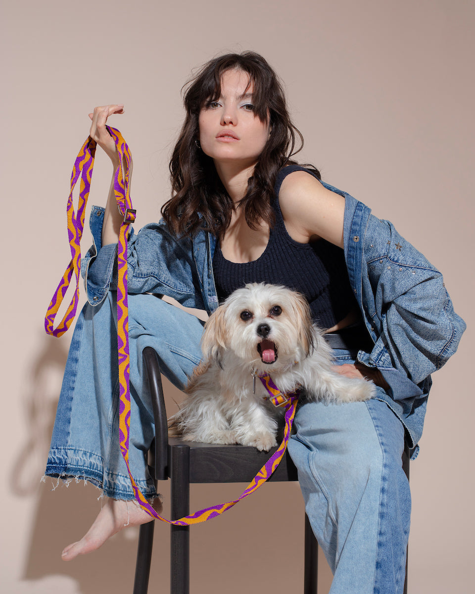 Woman sitting on a chair with a small dog on her lap, holding a colorful dog BONNY PLUM HANDS-FREE LEASH.