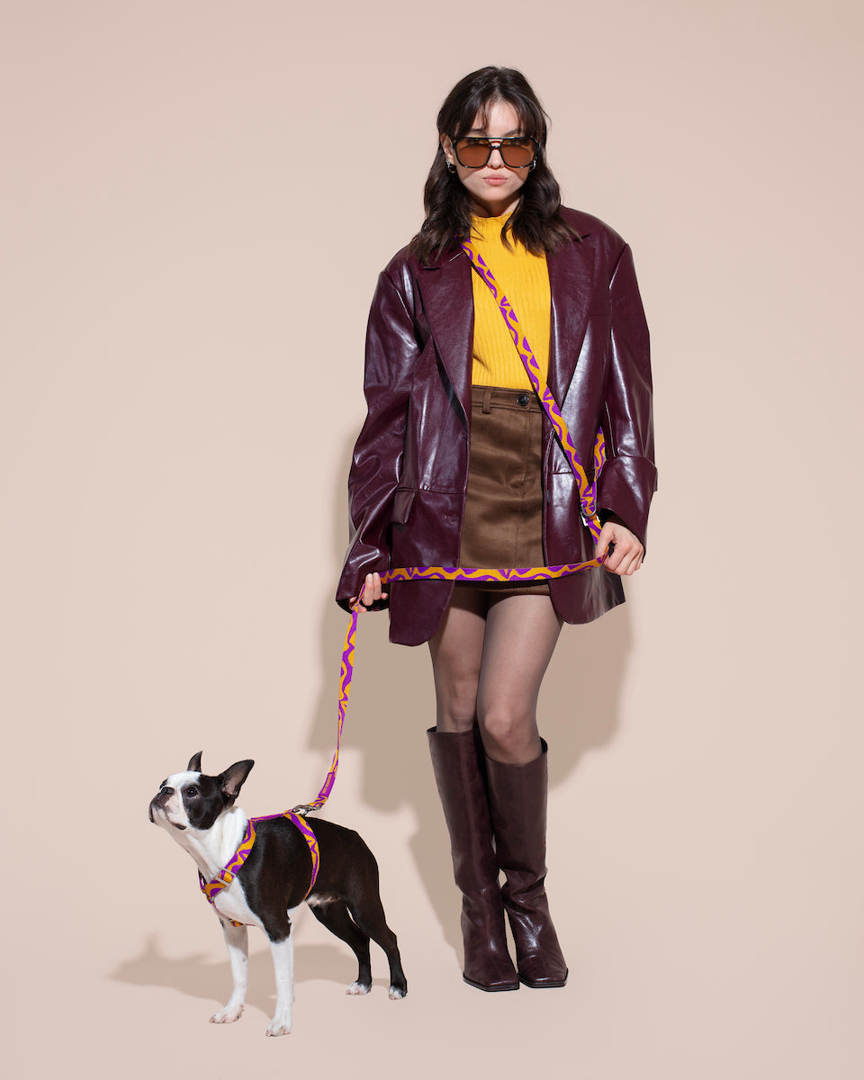 Person in stylish outfit with a dog on a BONNY PLUM HANDS-FREE LEASH against a beige background.