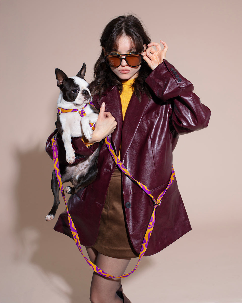 Woman in a burgundy leather jacket holding a small black and white dog on a BONNY PLUM HANDS-FREE LEASH against a beige background.